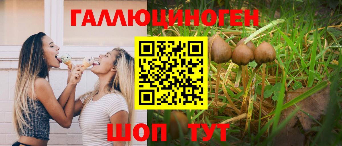 МЕФ кристаллы  НБОМе  Бошки Шишки  Волгоград  Метамфетамин  ГАШ  Вход с VPN  Купить наркотик 