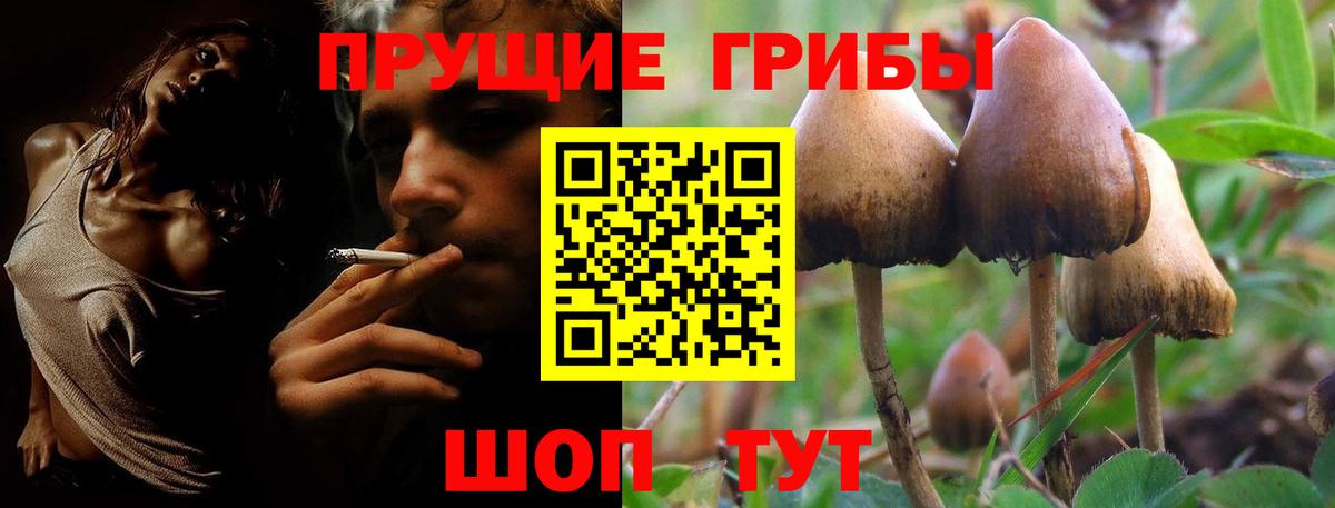 Галлюциногенные грибы MAGIC MUSHROOMS Волгоград